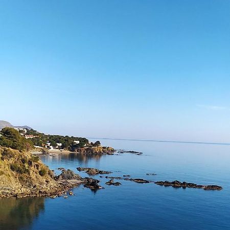 Appartement Ca La Nuri Pis 4 Vistas Al Mar à Llançà Extérieur photo