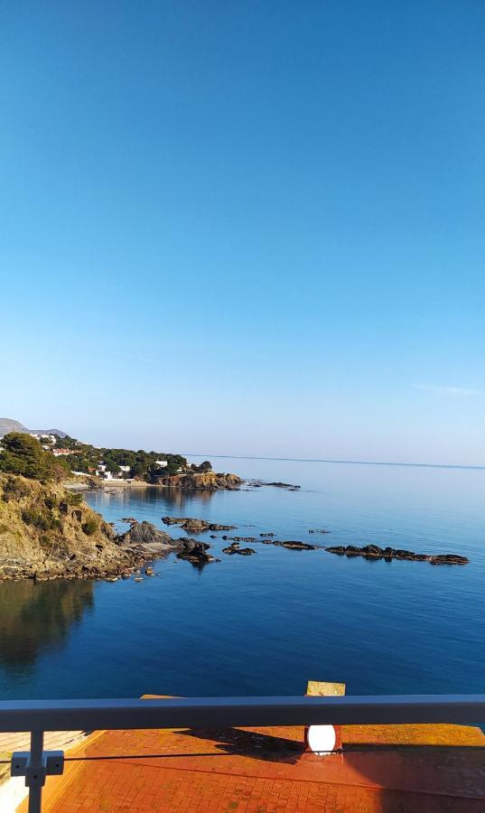Appartement Ca La Nuri Pis 4 Vistas Al Mar à Llançà Extérieur photo